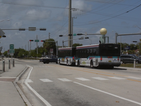 "Rapid transit" buses stop for cross traffic at intersection along Miami-South Dade Busway. Such crossings have been major safety problem.