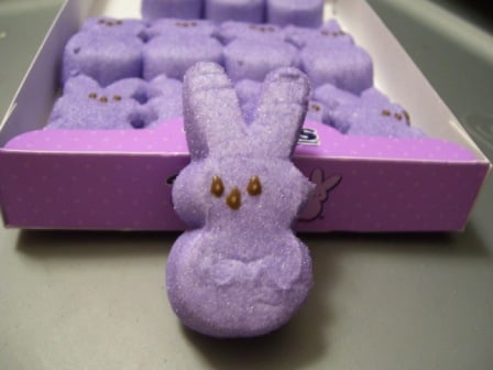 How can anyone resist that face! The bunny peeps are by far my favorite.