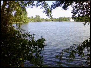 A calming walk lets the free-flowing ideas and problems come into light! 
