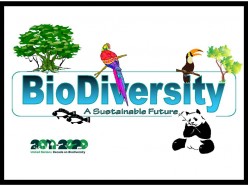 The United Nations Decade on Biodiversity