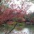 Flickr Flickr