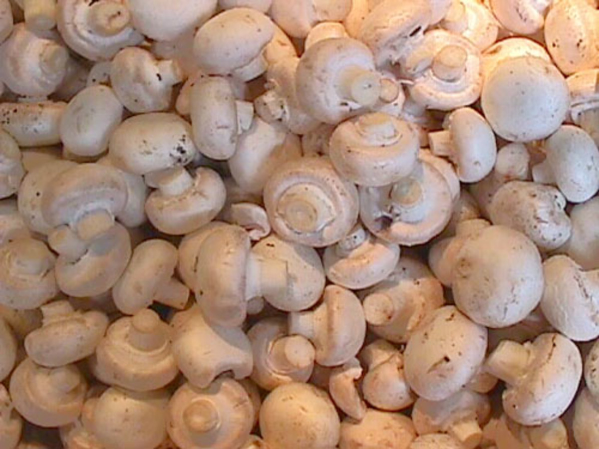 how to freeze mushrooms without blanching