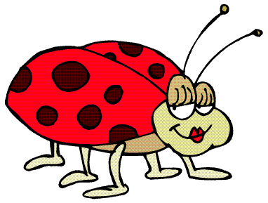 LueAnne The Ladybug