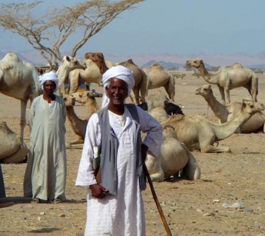 Beja nomads of North Africa.