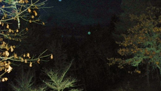 Orbs captured at dusk.