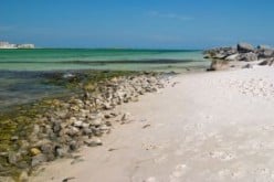 Best Attractions and Activities for Vacations and Travel In Destin, Florida