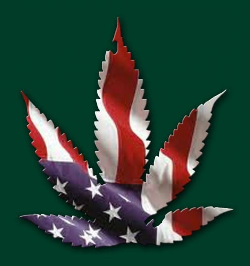 The first American Flag was made from Hemp and the Constitution of the United States as well as the Declaration of Independence was printed on paper made from Hemp, ironic wouldn't you say?