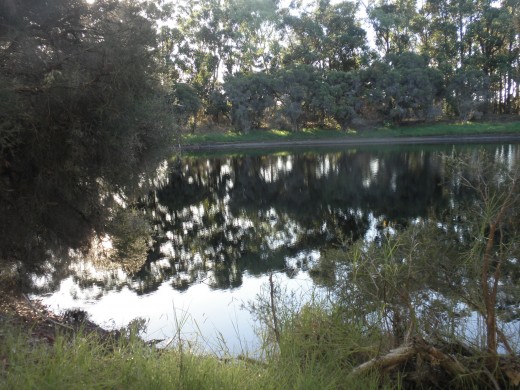 to become finely attuned to nature's rhythms...