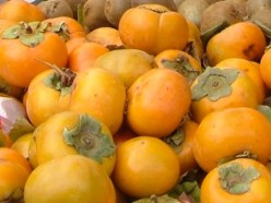 pumpkin seeds dogs toxic pumpkin seeds dogs toxic