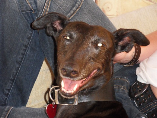 Smiling with contentment, i'd like to think