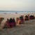 Camel Ride during sunset at Cable Beach, Broome, Western Australia. Camel Ride during sunset at Cable Beach, Broome, Western Australia.