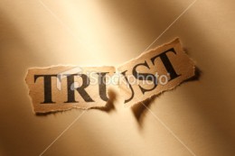 https://usercontent2.hubstatic.com/6388303_f260.jpg