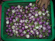 These eggplants are small, round and vary in color from white to dark purple. Photo used with permission