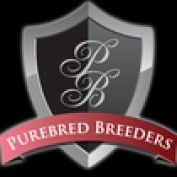Purebred Breeders profile image