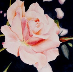 A Question of Focus:  Watercolor Floral Paintings Up Close and Personal