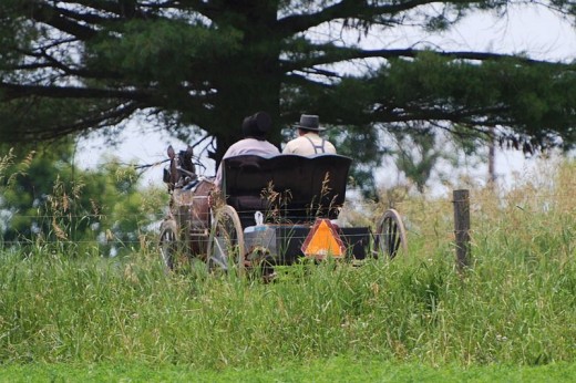 The Amish still use technology dating back to the 17th and 18th century. It's likely that we will revert back to this sort of life, if we lose modern technology.