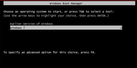 There are two simple methods to remove the dual boot menu entry.