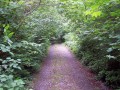 Taking The Road Less Traveled And Loving The Trip