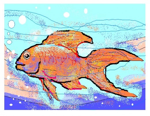 A Gold fish: The most elegant fish for beginners