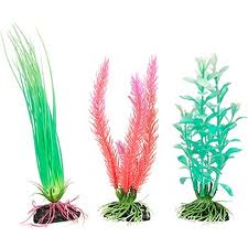 the middle plant will tear fins.