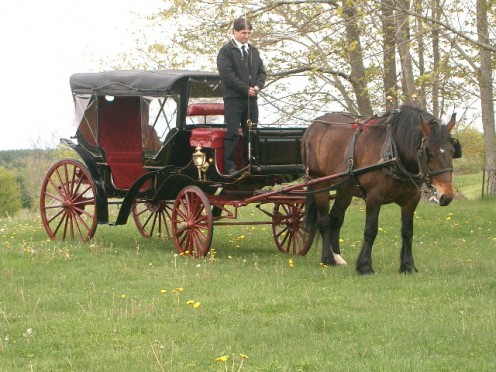 Annie and her wedding carriage.