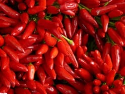 Spicy News in the World of Hot Chili Peppers