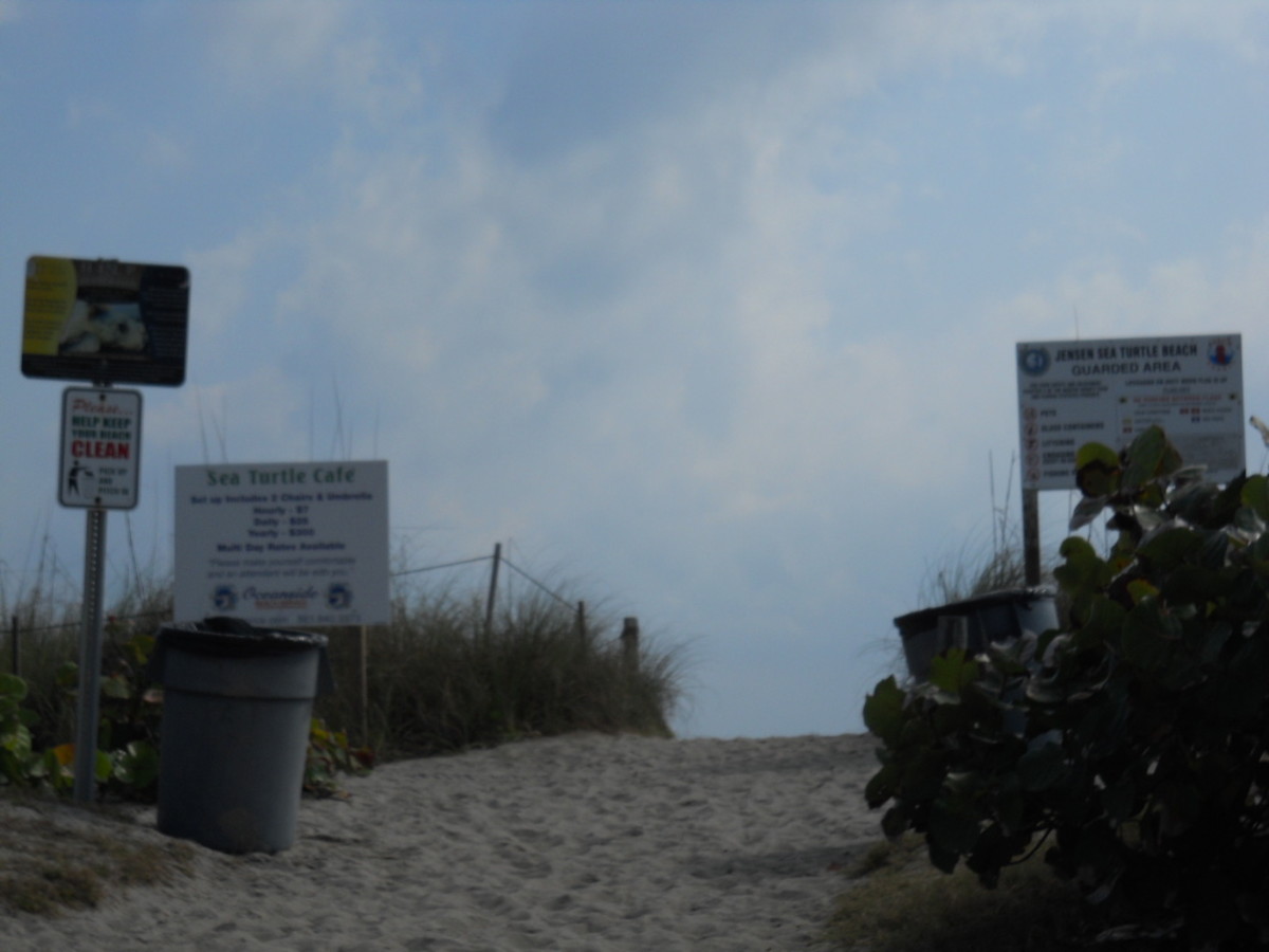 Jensen Sea Turtle Beach, Jensen Beach, Florida: one of several dune crossings to the beach.