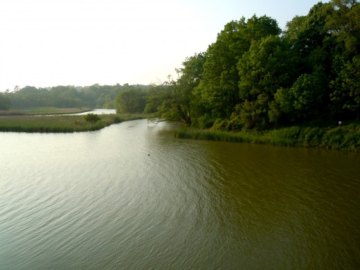 Rouge River Delta