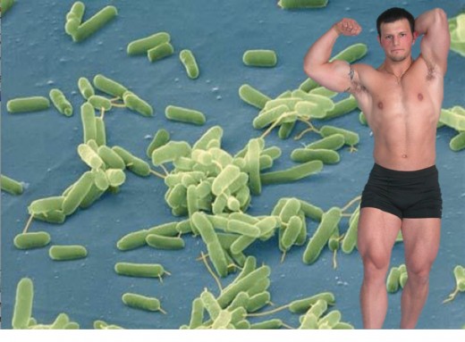 Latest pose for STD: Free Bacteria