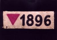 Josef's Pink Triangle and Prison Number
