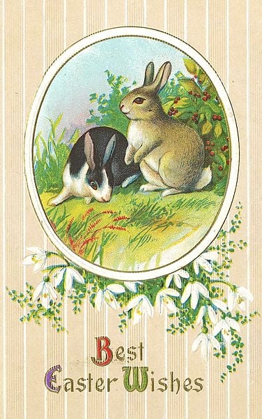 Two bunnies in the grass.  A neat vintage Easter Card.