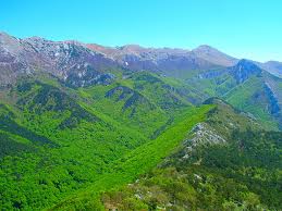 An aerial view of Mala Paklenica.  The two, deep green canyons are limestone based and 12 and 14 km deep.