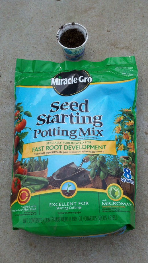 Correct type of potting mix when you are starting from seeds and one of our recycled yogurt cups.  Regular potting mix is not recommended.  Copyright David Palmer personal collection.