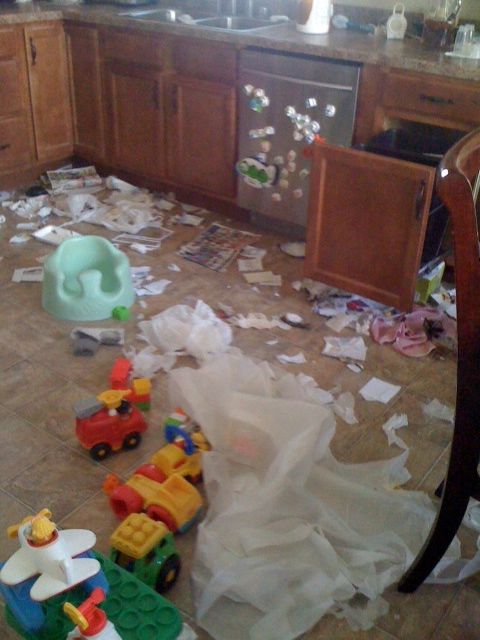 pic of trash shredded on kitchen floor