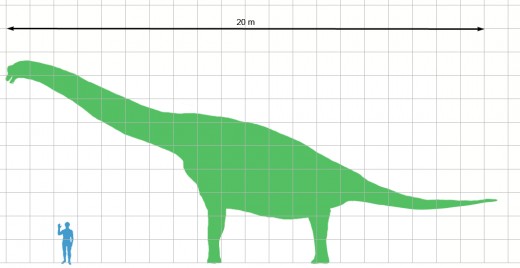 Brachiosaurus human size comparison 