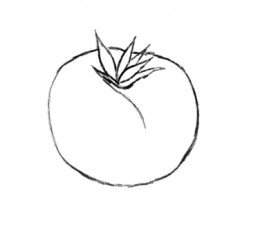 How to draw a fresh tomato 
