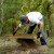 Servicemembers search for POW/MIAs on Wake Island Greg Berg uses a sifter to look for bone and artifacts at a dig site Jan. 12 on Wake Island. Mr. Berg, a forensic anthropologist, was sent to do a site survey after Wake Island officials notified the 