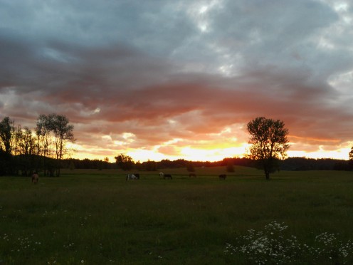 The glory of Nature!