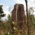 Huge termite mound, Litchfield National Park, Northern Territory, Australia. Huge termite mound, Litchfield National Park, Northern Territory, Australia.