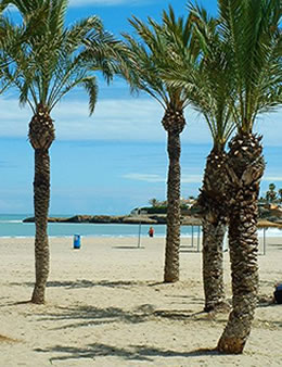 The Arenal Beach