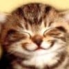 Caroline Holmes profile image
