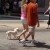 It is customary for patrons to stroll through the venue as they walk their dogs. It is customary for patrons to stroll through the venue as they walk their dogs.