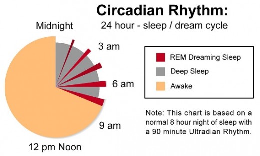 The Circadian Rhythm is a 24 hour cycle that the human body goes through each day. Within this day and night cycle there is a 6 to 10 hour period in which we sleep. This sleep period includes both deep sleep, and REM sleep.