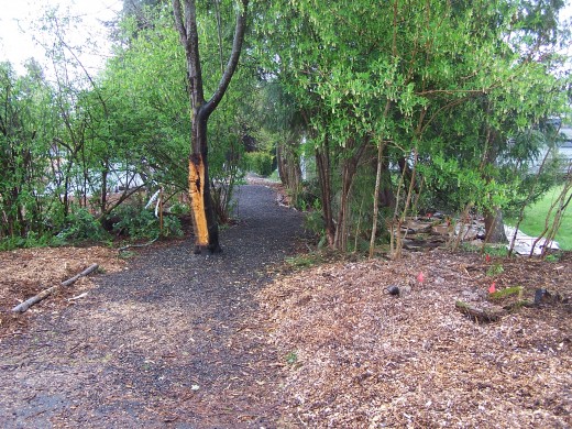Joy St. walkway; under construction.
