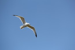 https://usercontent2.hubstatic.com/6457665_f260.jpg