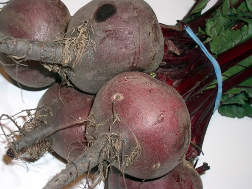 I have heard somewhere that beetroot also possesses powers to increase hemoglobin in our blood.