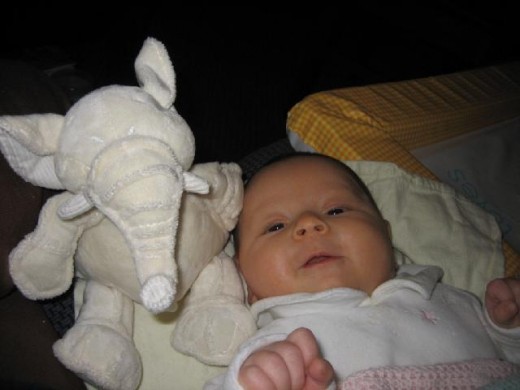 Changing mats (and elephants) can be used from one baby to the next.