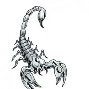 Veira profile image