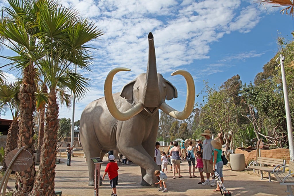 difference between safari park and zoo san diego