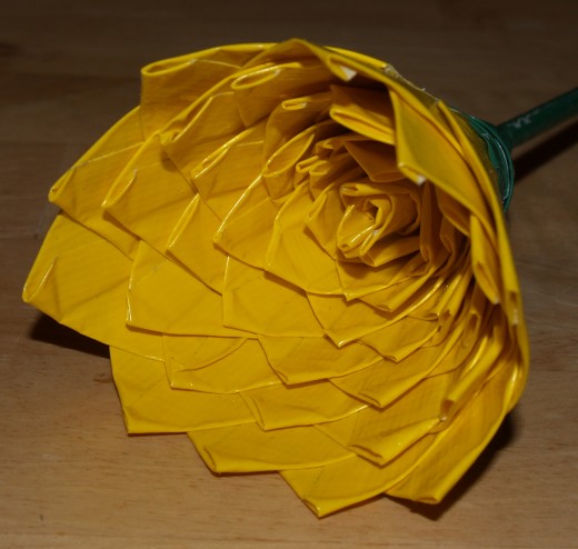 Detail of the 50 rose petals.